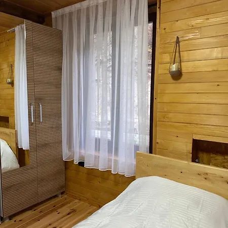 Hotel Bujtina Alpine Vanat *