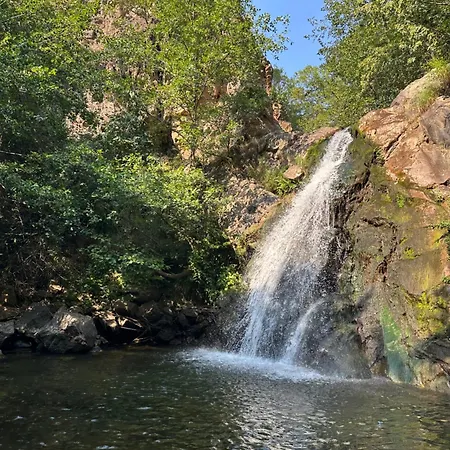 Bujtina Alpine Vanat Bele