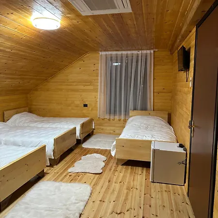 Bujtina Alpine Vanat Hotel *
