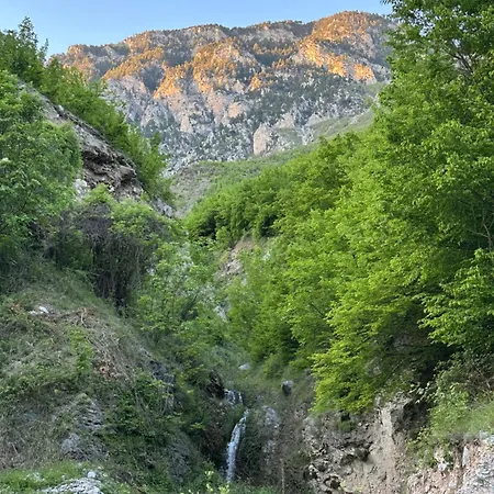 Hotel Bujtina Alpine Vanat