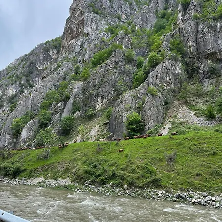 Hotel Bujtina Alpine Vanat *