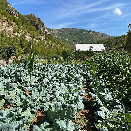 Bujtina Alpine Vanat * Bele