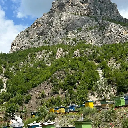 Hotel Bujtina Alpine Vanat