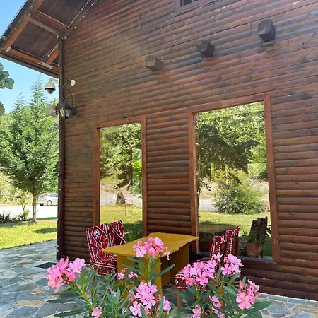 Hotel Bujtina Alpine Vanat